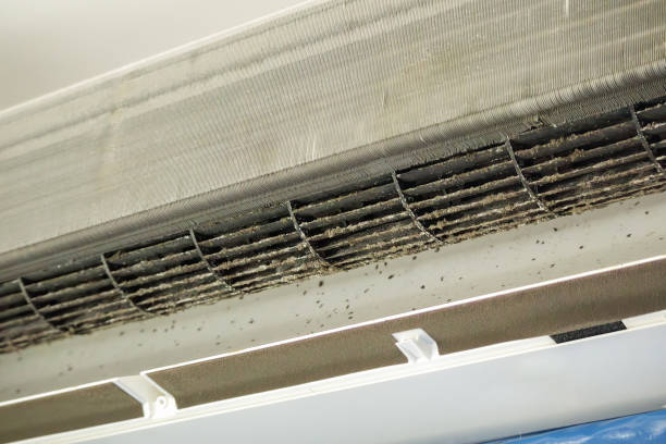 Best Professional Duct Cleaning Services  in Noroton, CT